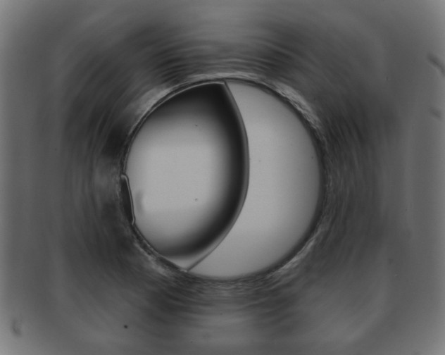 X0000091991177200709061214