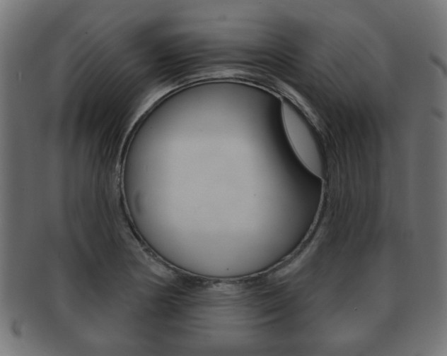 X0000091991178200709061214