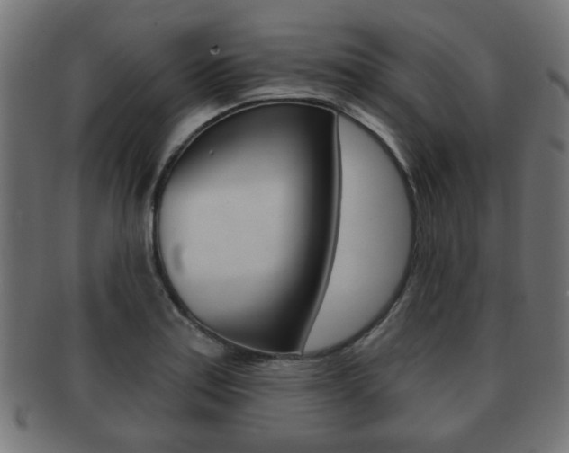 X0000091991179200709061214