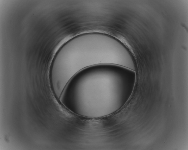 X0000091991181200709061214