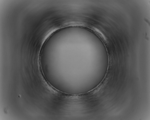 X0000091991182200709061214