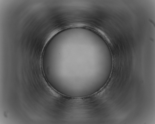 X0000091991186200709061214