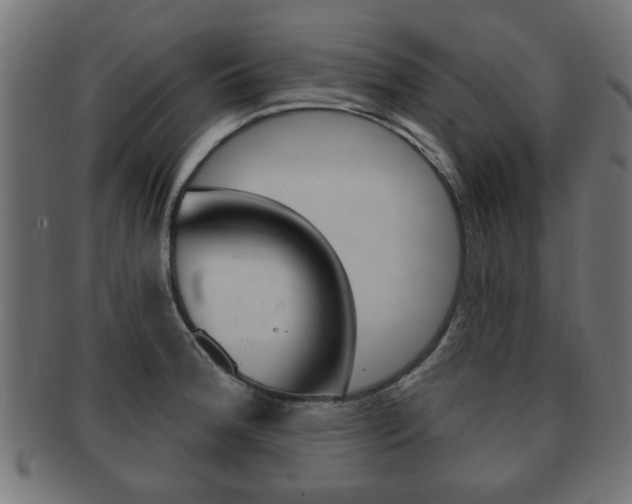 X0000091991188200709061214