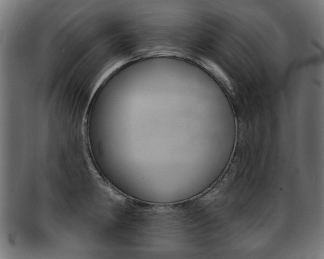 X0000091991190200709061214
