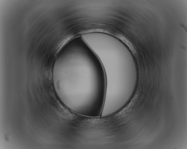 X0000091991193200709061214