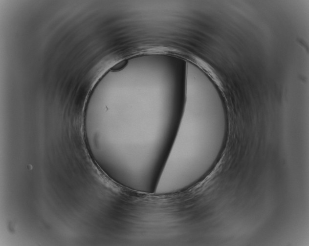 X0000091991194200709061214