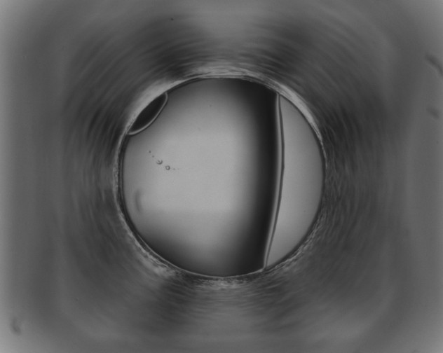 X0000091991195200709061214