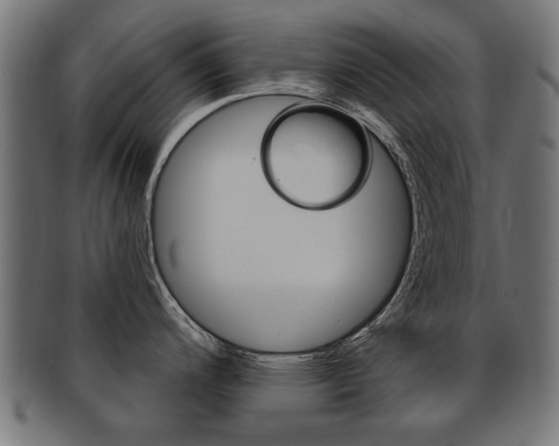 X0000091991200200709061214