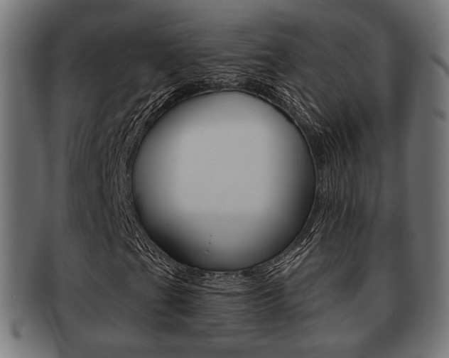 X0000091991201200709061213