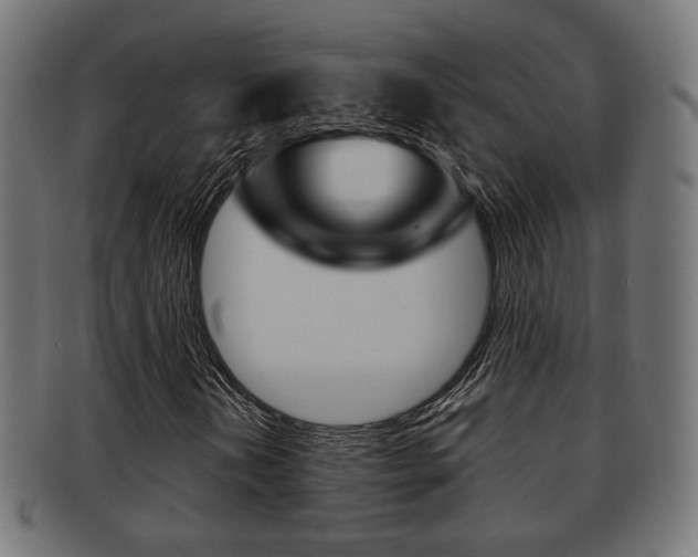 X0000091991202200709061213