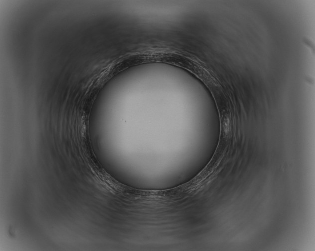 X0000091991204200709061213