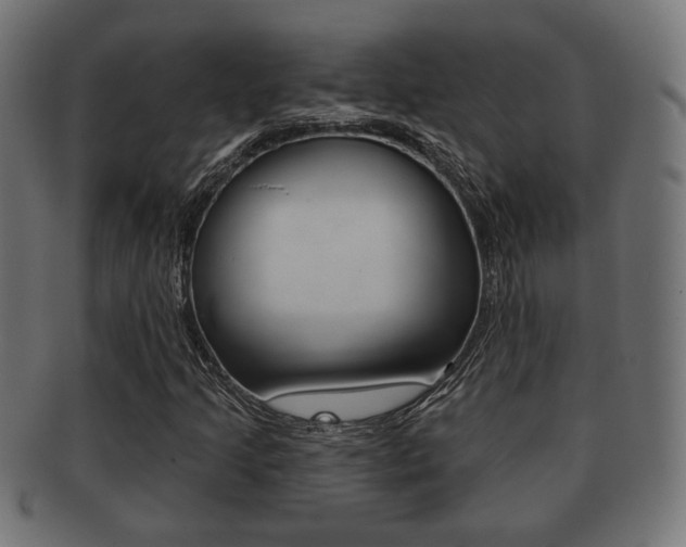 X0000091991205200709061213