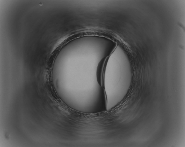 X0000091991208200709061213