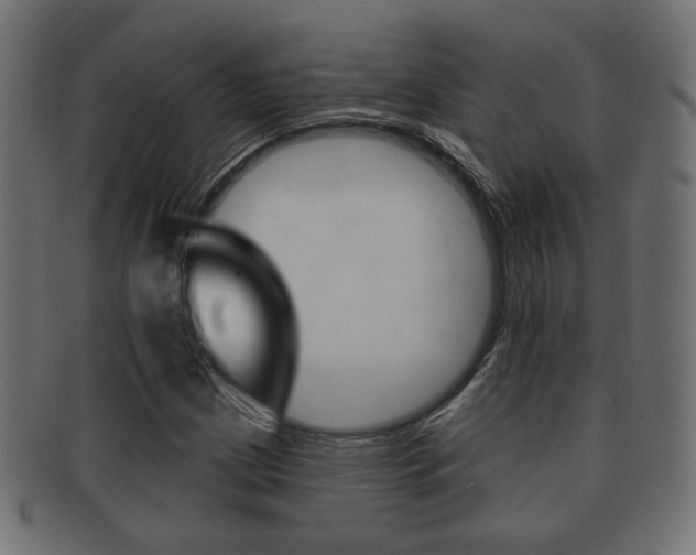 X0000091991209200709061213