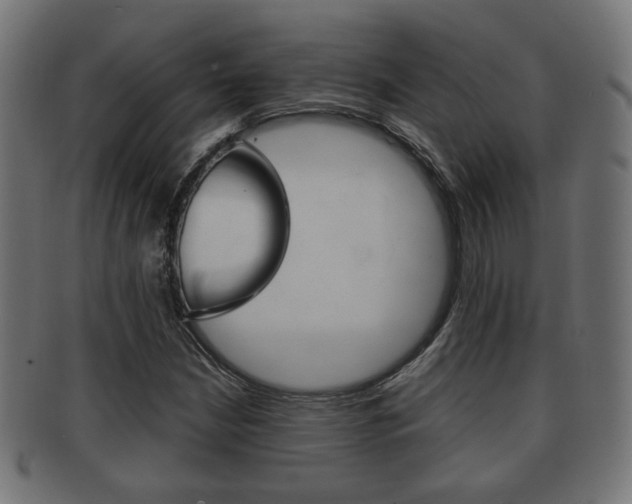 X0000091991210200709061213