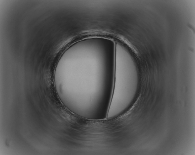 X0000091991213200709061214