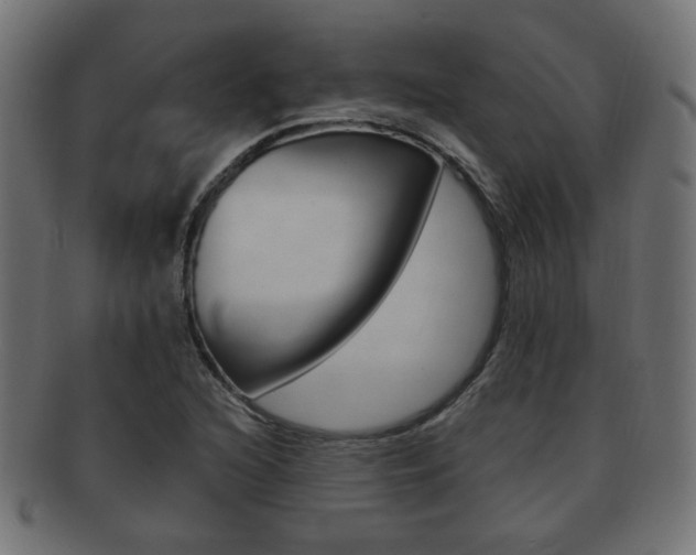 X0000091991216200709061214