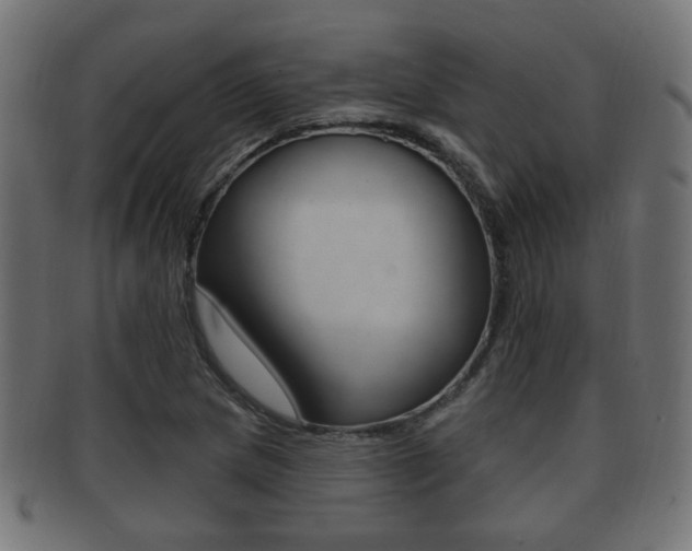 X0000091991217200709061214