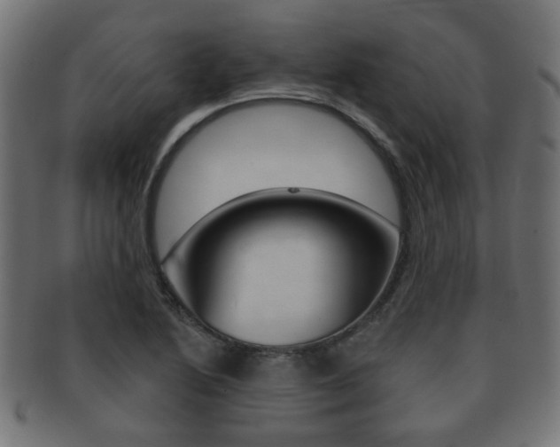 X0000091991222200709061214