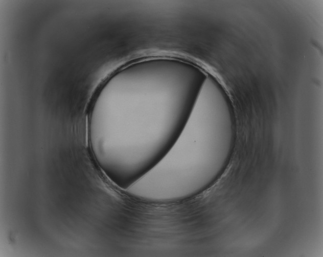 X0000091991223200709061214