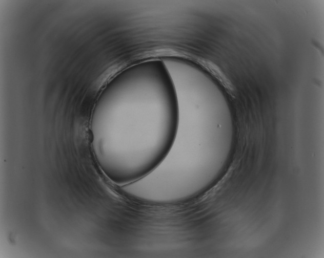 X0000091991225200709061214