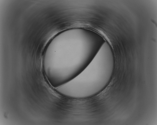 X0000091991227200709061214