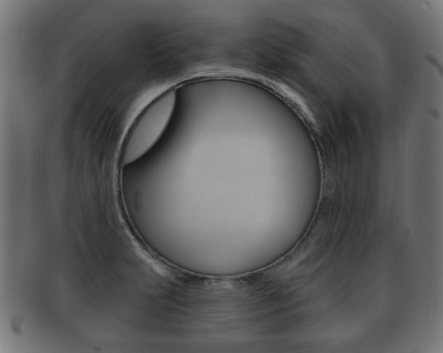 X0000091991231200709061214