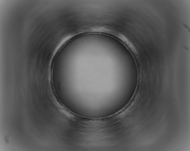 X0000091991232200709061214