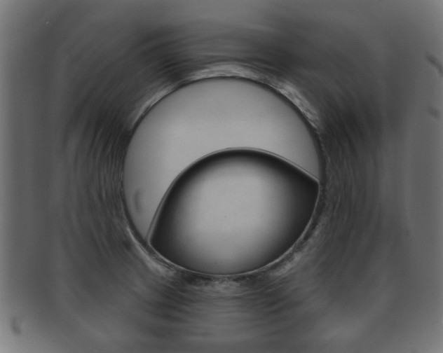 X0000091991233200709061214