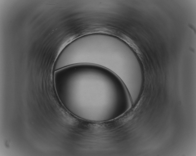 X0000091991234200709061214