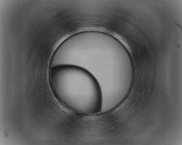 X0000091991237200709061214