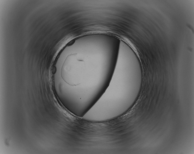 X0000091991243200709061214