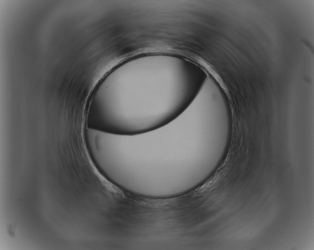 X0000091991245200709061214