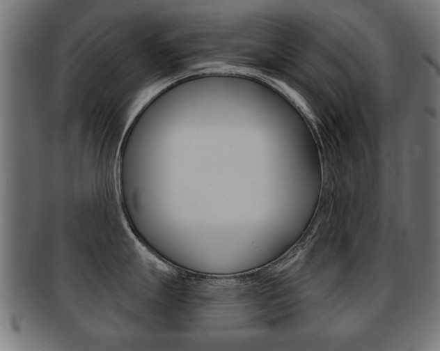 X0000091991247200709061214