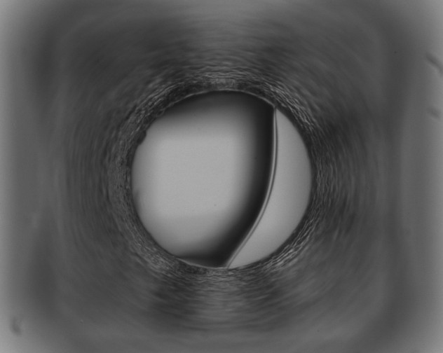 X0000091991249200709061213