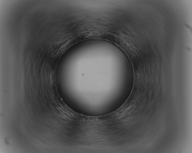 X0000091991250200709061213