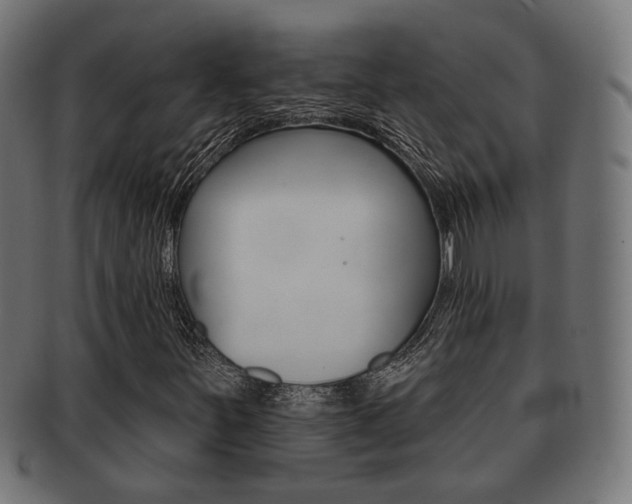 X0000091991251200709061213
