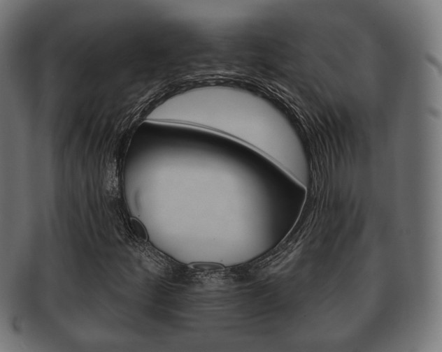 X0000091991252200709061213