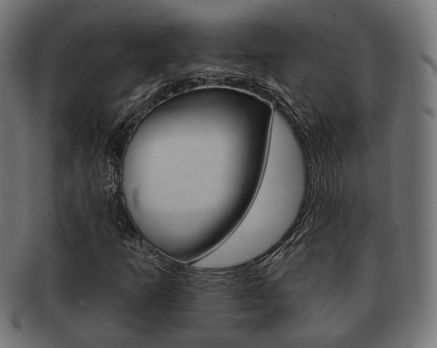 X0000091991253200709061213