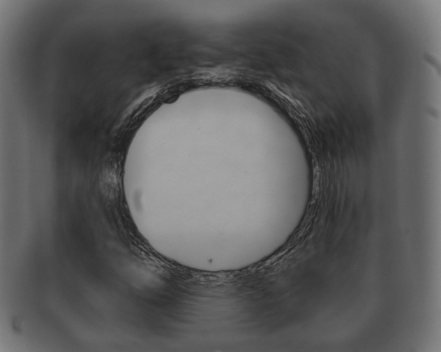 X0000091991254200709061213