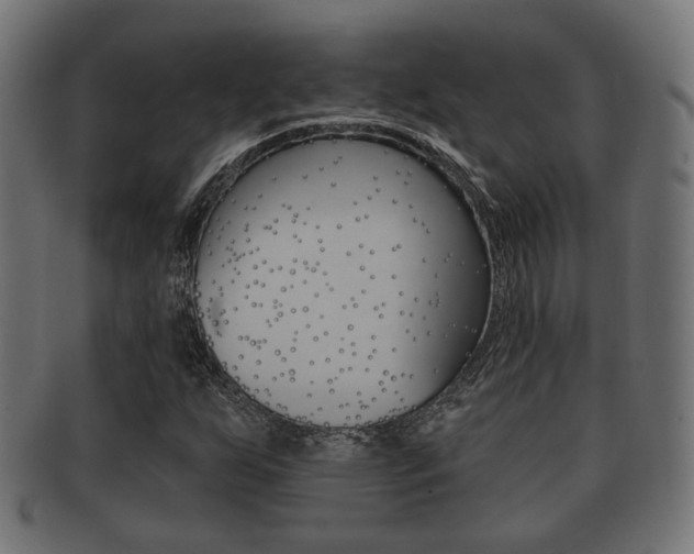 X0000091991255200709061213