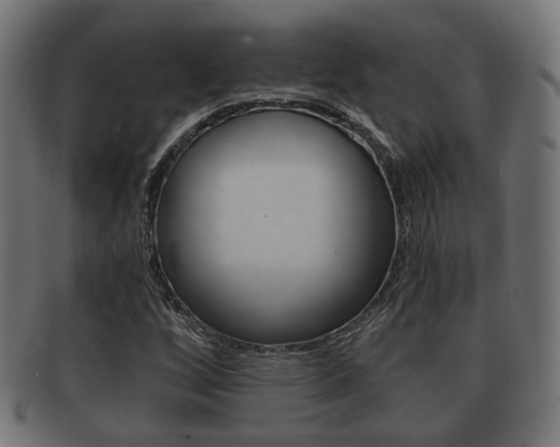 X0000091991256200709061213