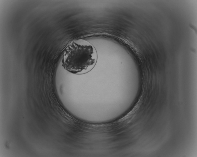 X0000091991257200709061213