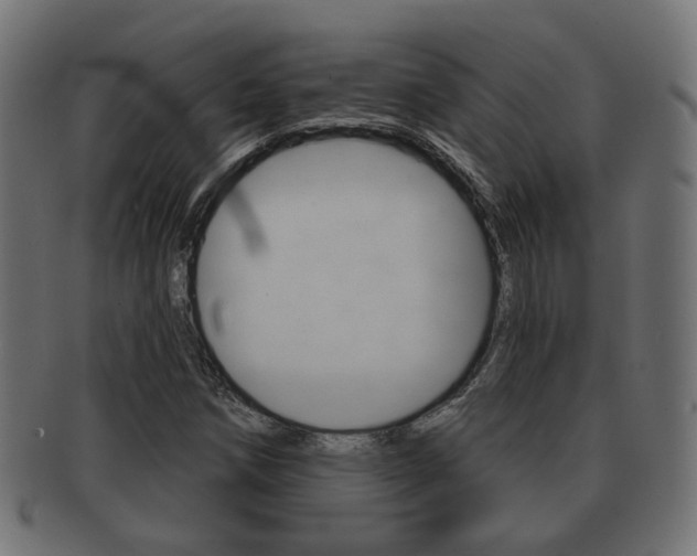 X0000091991258200709061213