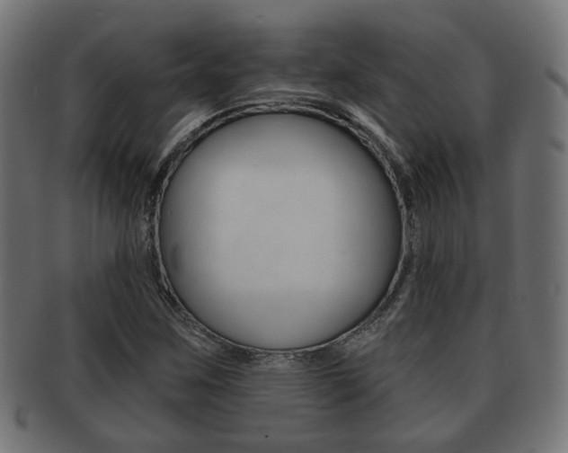 X0000091991259200709061213