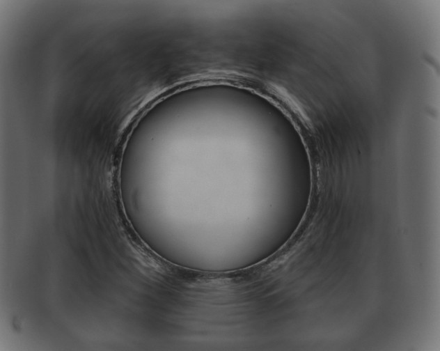 X0000091991260200709061213