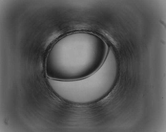 X0000091991261200709061213