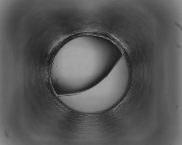 X0000091991262200709061213