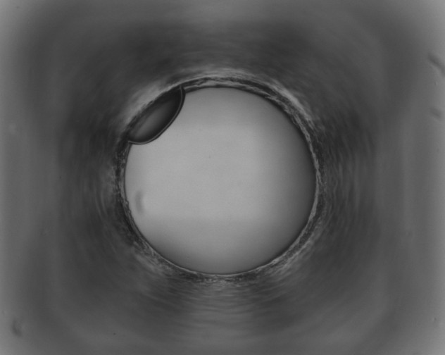 X0000091991263200709061213