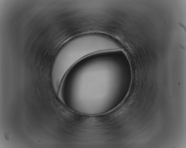 X0000091991265200709061213